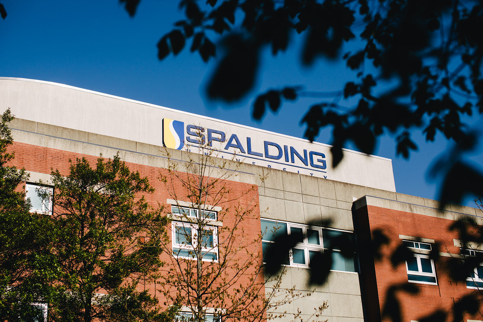 Spalding University